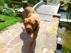abby7