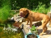 abby5