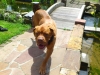 abby7