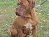 amy1_742