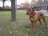 amy2_190