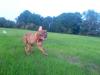 dsc00088_147