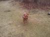 foto0124_688