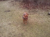 foto0124_688