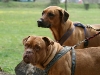 img_2382_889