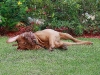 img_0424_160