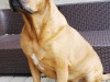 bilder-balu-007