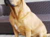 bilder-balu-007
