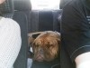 img-20160913-wa0002
