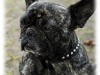 bild5_127