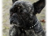 bild5_127