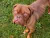 bonnie1_261014_680