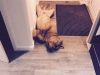 buddy-kasia1