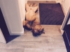 buddy-kasia1
