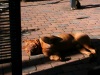 img_9124_136