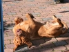 img_9128_616 img_9128_616