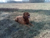 foto1_001_396