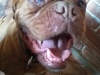 480_Buffy_Gesicht2