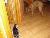 dsc04685_158