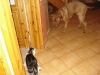 dsc04685_158