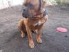 Butch1