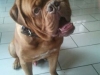 capone7