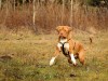 charlie26011402