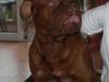 charly7