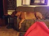 img-20150107-wa0004