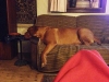img-20150107-wa0004
