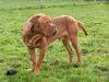 clyde-26-10-14