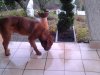 constantin2