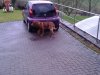 constantin3