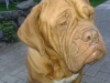crasy2
