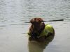 293_beach_boy_019_178