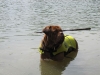 293_beach_boy_019_178 293_beach_boy_019_178