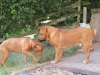 churchi11-08-014