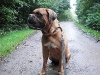 daphne_1_163