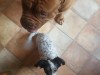 diego-sylvia-4