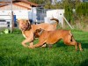 duna-und-diego_02