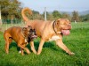 duna-und-diego_11