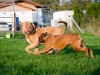 duna-und-diego_02
