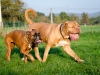 duna-und-diego_11