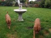 dscf0083_114