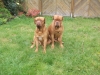dscf0091_640
