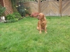 dscf0092_967
