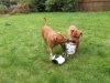 dscf0093_205