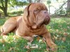 odin2
