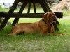 Donna1