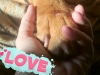 franzis9